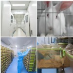 承接動物實(shí)驗(yàn)委托